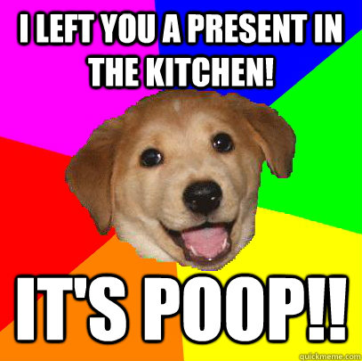 I Left you a present in the kitchen! It's Poop!!  Advice Dog