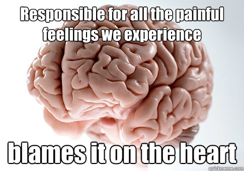 Responsible for all the painful feelings we experience blames it on the heart  Scumbag Brain