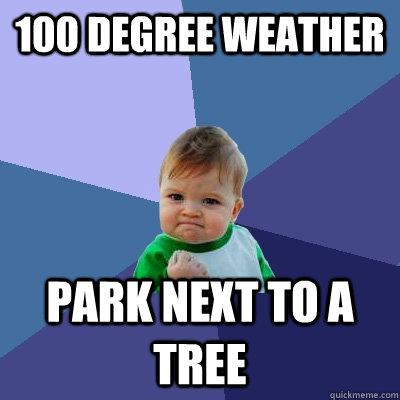 100 degree weather  park next to a tree  Success Kid