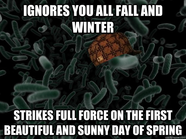 ignores you all fall and winter strikes full force on the first beautiful and sunny day of spring - ignores you all fall and winter strikes full force on the first beautiful and sunny day of spring  Scumbag Cold Bacteria