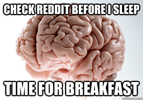 CHECK REDDIT BEFORE I SLEEP TIME FOR BREAKFAST  Scumbag Brain