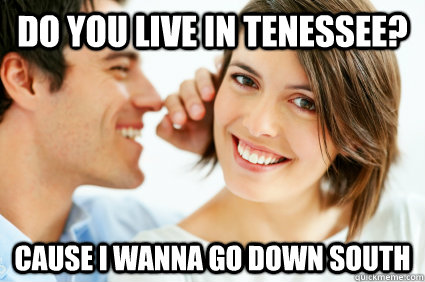 Do you live in Tenessee? cause i wanna go down south  Bad Pick-up line Paul