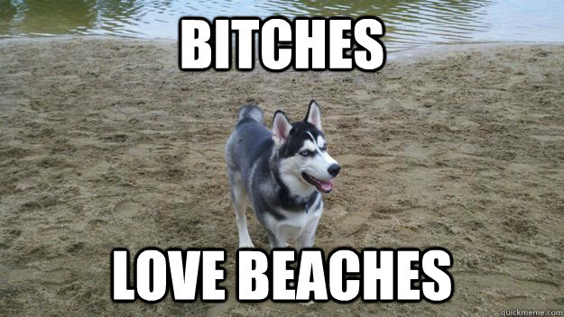 Bitches Love Beaches - Bitches Love Beaches  Beach Dog