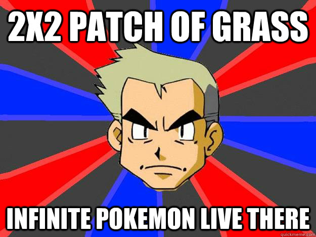 2x2 patch of grass infinite pokemon live there  Professor Oak