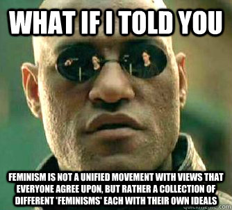 What if I told you Feminism is not a unified movement with views that everyone agree upon, but rather a collection of different 'feminisms' each with their own ideals  What if I told you