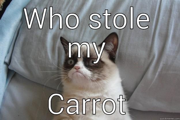 WHO STOLE MY CARROT Grumpy Cat