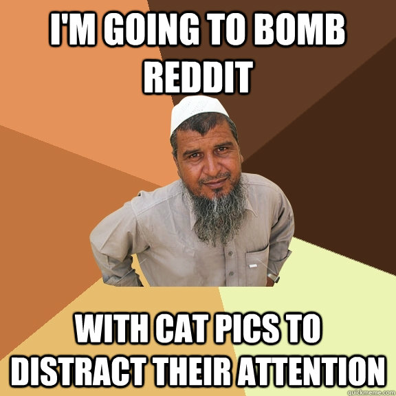 I'm going to bomb Reddit with cat pics to distract their attention  Ordinary Muslim Man