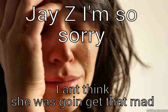 JAY Z I'M SO SORRY I ANT THINK SHE WAS GOIN GET THAT MAD First World Problems