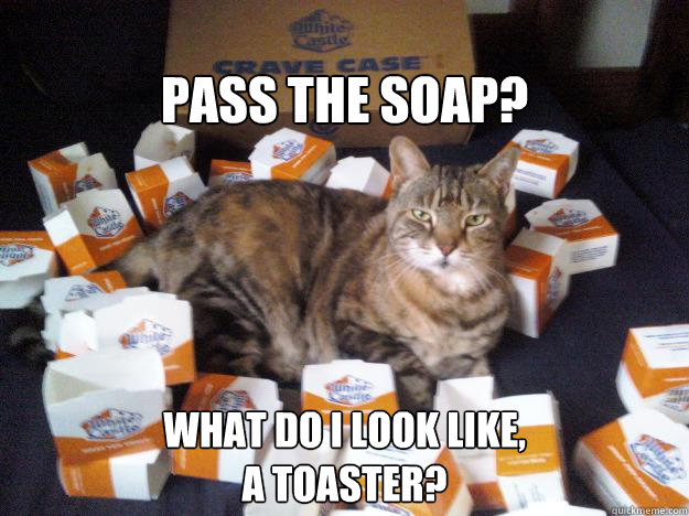 PASS THE SOAP? WHAT DO I LOOK LIKE,
A TOASTER? - PASS THE SOAP? WHAT DO I LOOK LIKE,
A TOASTER?  White Castle Cat