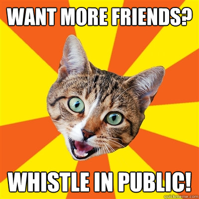 want more friends? Whistle in public!  Bad Advice Cat