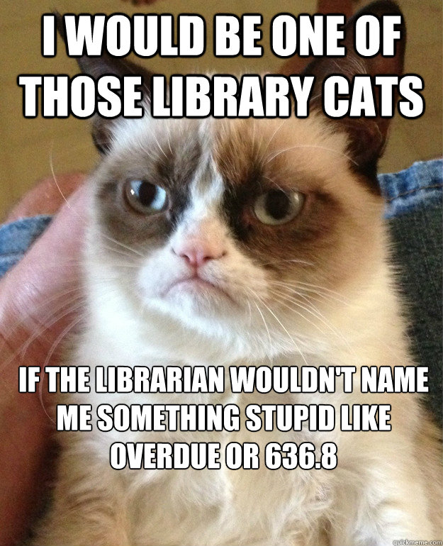 I would be one of those library cats if the librarian wouldn't name me something stupid like Overdue or 636.8 - I would be one of those library cats if the librarian wouldn't name me something stupid like Overdue or 636.8  Misc