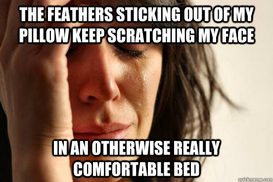 The feathers sticking out of my pillow keep scratching my face in an otherwise really comfortable bed - The feathers sticking out of my pillow keep scratching my face in an otherwise really comfortable bed  First World Problems