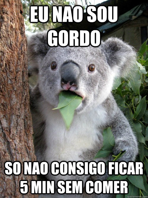 eu nao sou gordo so nao consigo ficar 5 min sem comer - eu nao sou gordo so nao consigo ficar 5 min sem comer  koala bear