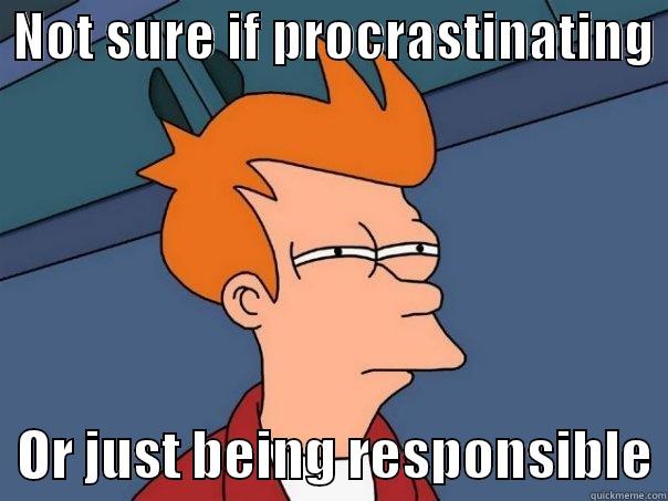  NOT SURE IF PROCRASTINATING    OR JUST BEING RESPONSIBLE Futurama Fry