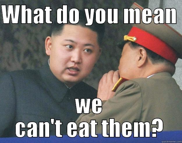 WHAT DO YOU MEAN  WE CAN'T EAT THEM? Hungry Kim Jong Un