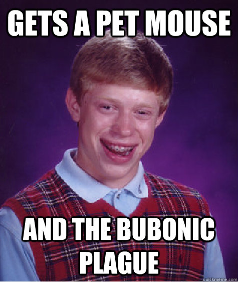 gets a pet mouse and the bubonic plague  Bad Luck Brian