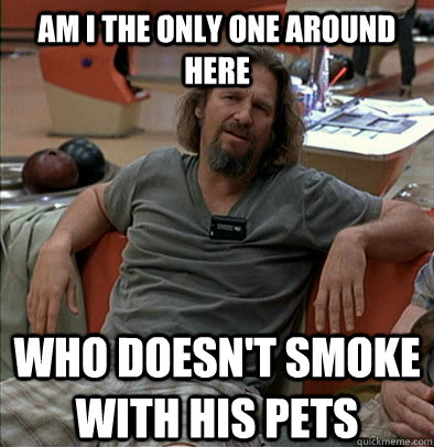 Am I the only one around here who doesn't smoke with his pets  The Dude