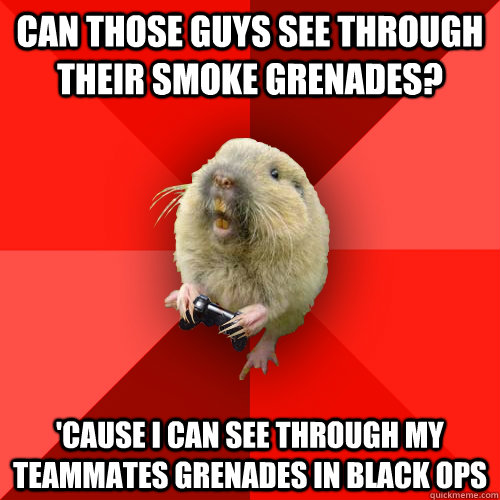 can those guys see through their smoke grenades? 'cause i can see through my teammates grenades in black ops   Gaming Gopher