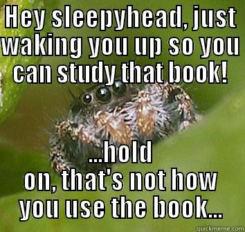 HEY SLEEPYHEAD, JUST WAKING YOU UP SO YOU CAN STUDY THAT BOOK! ...HOLD ON, THAT'S NOT HOW YOU USE THE BOOK... Misunderstood Spider