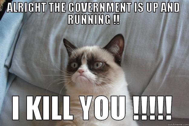 ALRIGHT THE GOVERNMENT IS UP AND RUNNING !! I KILL YOU !!!!! Grumpy Cat