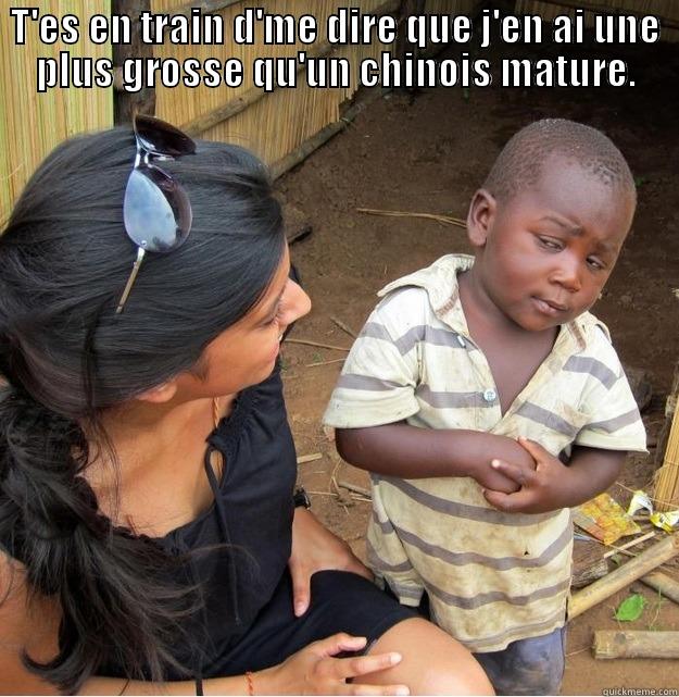 Tes en train d'me dire que... - T'ES EN TRAIN D'ME DIRE QUE J'EN AI UNE PLUS GROSSE QU'UN CHINOIS MATURE.  Skeptical Third World Kid