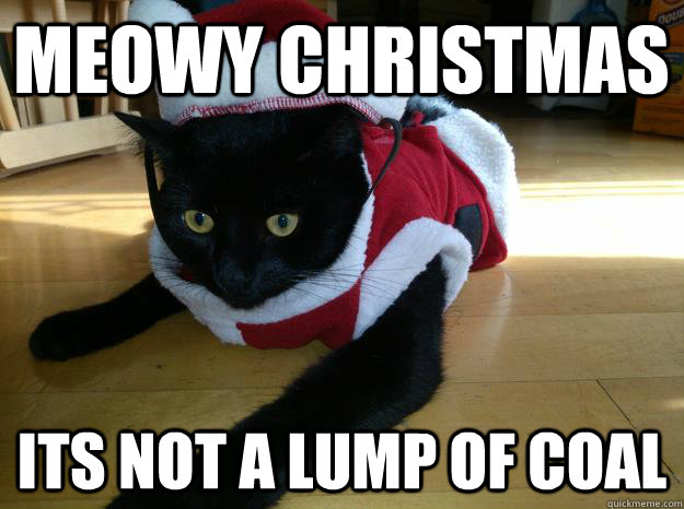 Meowy Christmas Its not a lump of coal - Meowy Christmas Its not a lump of coal  Mad Santa