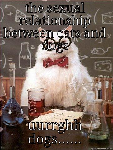 THE SEXUAL RELATIONSHIP BETWEEN CATS AND DOGS UURRGHH DOGS...... Chemistry Cat