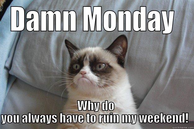 damn monday - DAMN MONDAY  WHY DO YOU ALWAYS HAVE TO RUIN MY WEEKEND!  Grumpy Cat