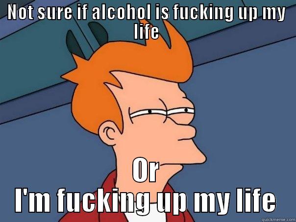 NOT SURE IF ALCOHOL IS FUCKING UP MY LIFE OR I'M FUCKING UP MY LIFE Futurama Fry