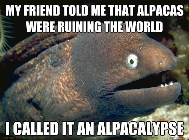 My friend told me that alpacas were ruining the world I called it an alpacalypse  Bad Joke Eel