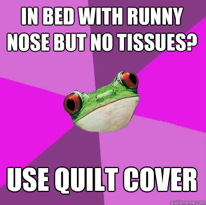 in bed with runny nose but no tissues? use quilt cover  Foul Bachelorette Frog