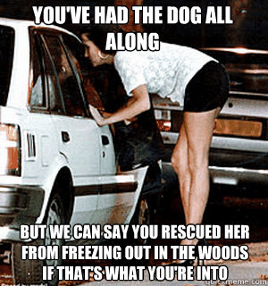 You've had the dog all along but we can say you rescued her from freezing out in the woods if that's what you're into  Karma Whore