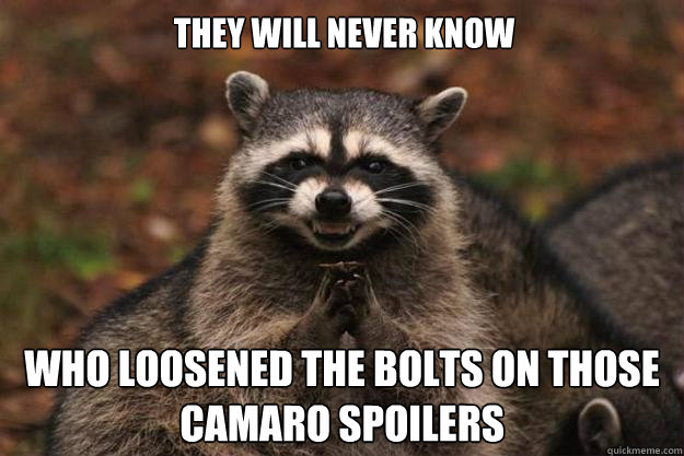 They will never know who loosened the bolts on those camaro spoilers - They will never know who loosened the bolts on those camaro spoilers  Evil Plotting Raccoon