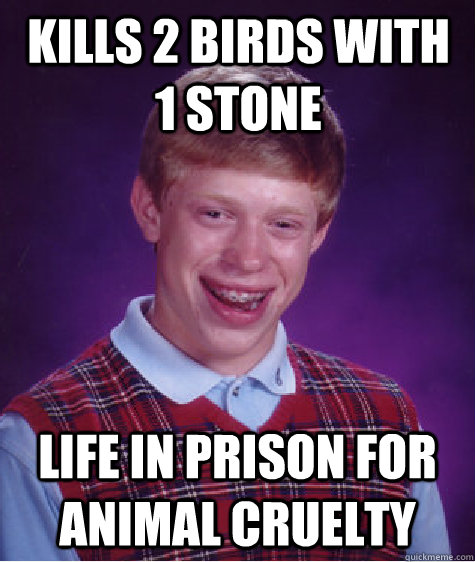 kills 2 birds with 1 stone life in prison for animal cruelty  Bad Luck Brian