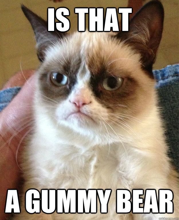 IS THAT A GUMMY BEAR  Grumpy Cat