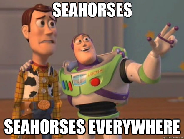 Seahorses Seahorses everywhere - Seahorses Seahorses everywhere  Toy Story