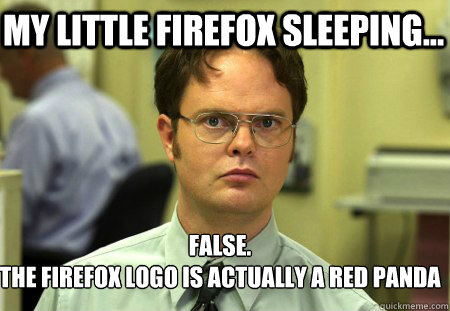 My little firefox sleeping... False.
The firefox logo is actually a red panda - My little firefox sleeping... False.
The firefox logo is actually a red panda  Schrute