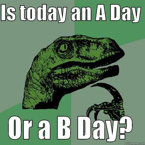 What day is it dude - IS TODAY AN A DAY  OR A B DAY? Philosoraptor