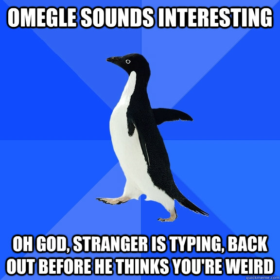 Omegle sounds interesting oh god, stranger is typing, back out before he thinks you're weird  Socially Awkward Penguin