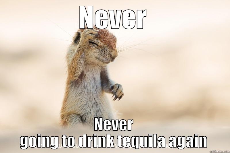 hangover squirrel - NEVER NEVER GOING TO DRINK TEQUILA AGAIN Misc