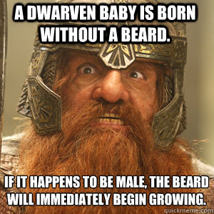 If it happens to be male, the beard will immediately begin growing.
 A dwarven baby is born without a beard.  - If it happens to be male, the beard will immediately begin growing.
 A dwarven baby is born without a beard.   Mexican Dwarf
