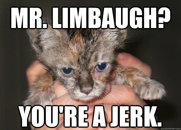 mr-limbaugh-you-re-a-jerk-frowny-kitten-quickmeme