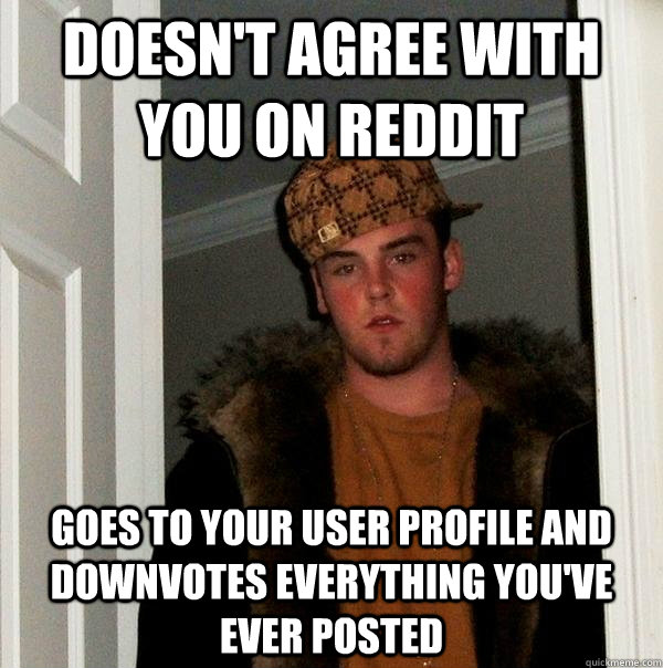 doesn't agree with you on reddit goes to your user profile and downvotes everything you've ever posted  Scumbag Steve