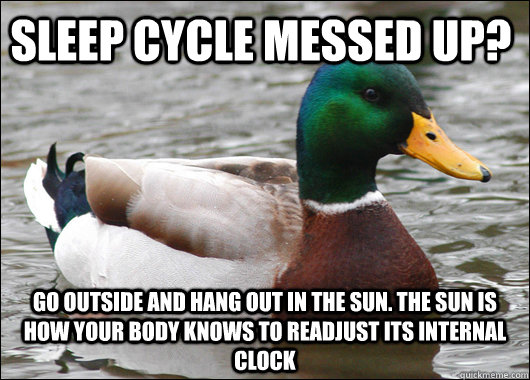 Sleep Cycle Messed Up?  Go outside and hang out in the sun. The sun is how your body knows to readjust its internal clock - Sleep Cycle Messed Up?  Go outside and hang out in the sun. The sun is how your body knows to readjust its internal clock  Actual Advice Mallard