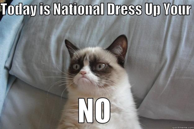 TODAY IS NATIONAL DRESS UP YOUR  NO Grumpy Cat