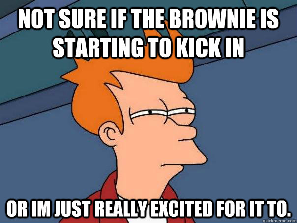 Not sure if the brownie is starting to kick in or im just really excited for it to.  Futurama Fry