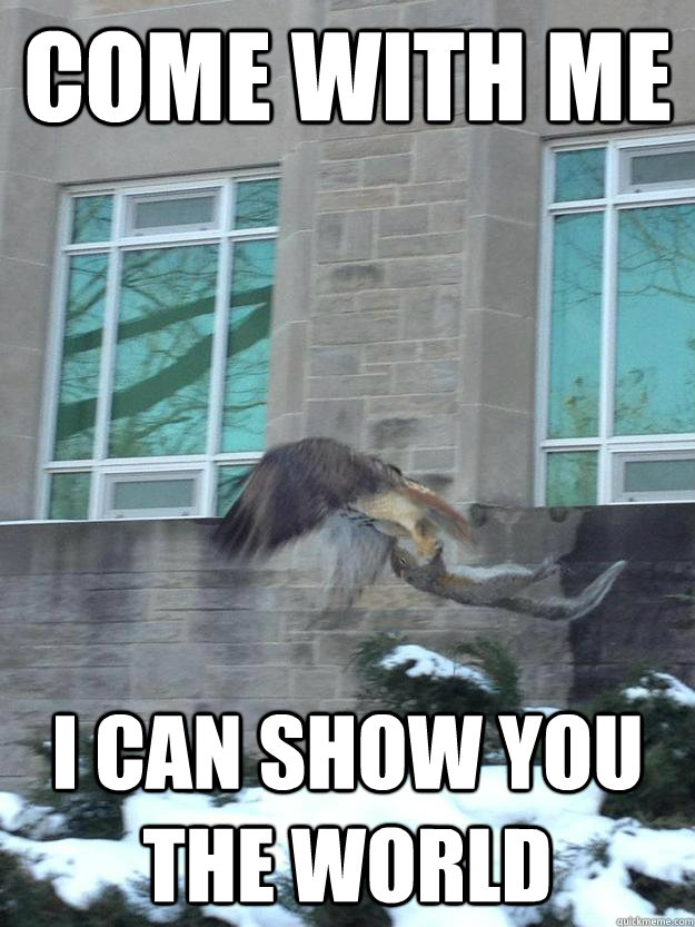 Come with me I can show you the world - Come with me I can show you the world  McMaster Hawk