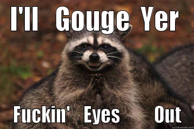 I'll Gouge Yer Fuckin' Eyes Out - I'LL   GOUGE  YER  FUCKIN'    EYES          OUT Evil Plotting Raccoon