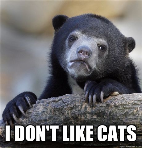  I don't like cats  Confession Bear