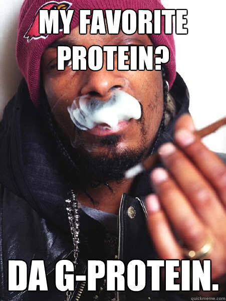 My favorite protein? Da G-Protein.  - My favorite protein? Da G-Protein.   Scientific Snoop Dogg